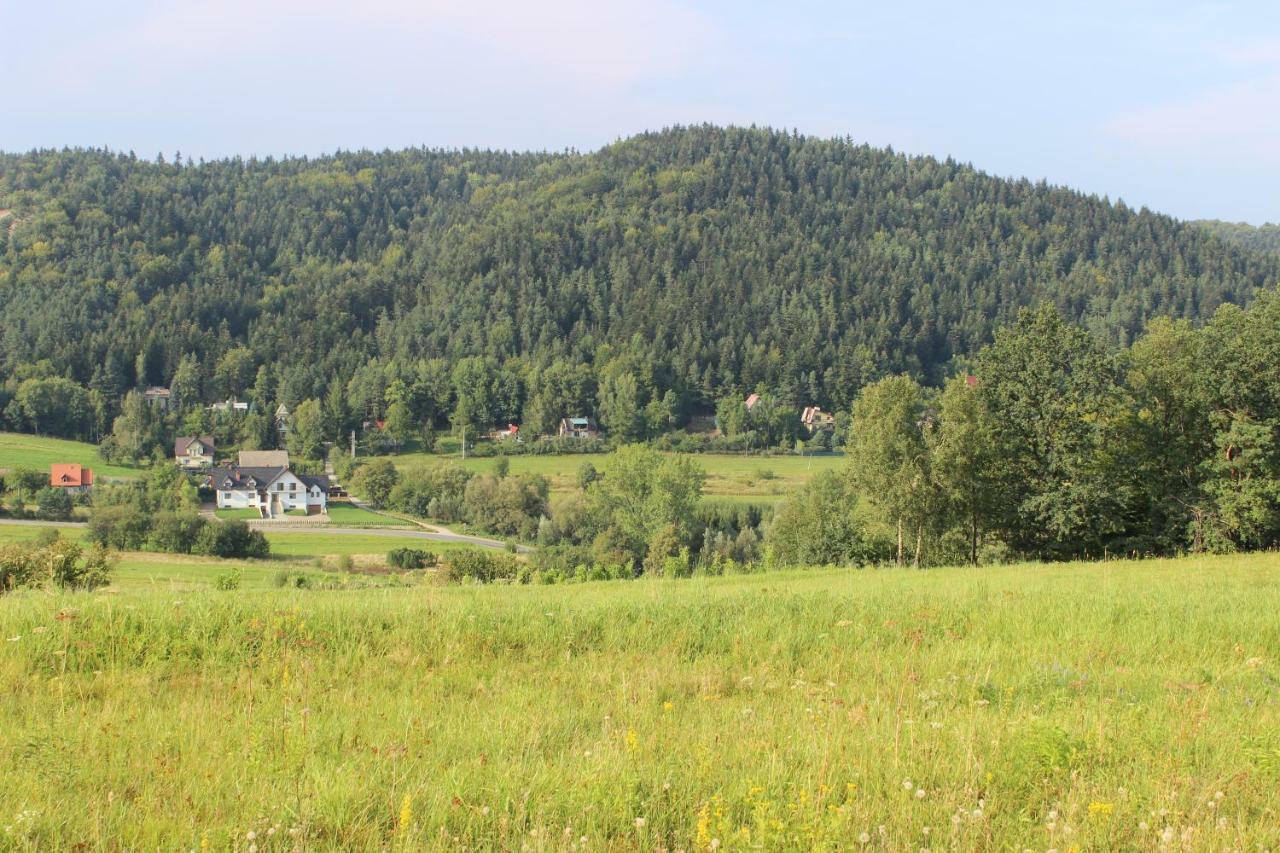 Dwor Bysina Villa Myślenice Dış mekan fotoğraf